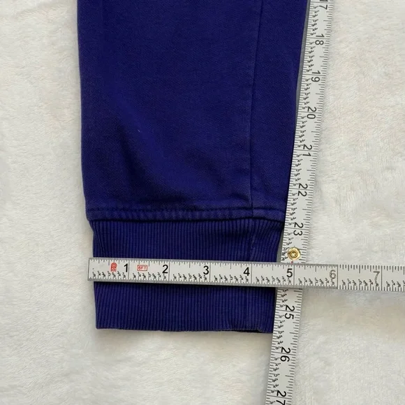 THE NORTH FACE  Men's Purple Jogger Sweatpants Small Logo Cotton Blend - Picture 9 of 9
